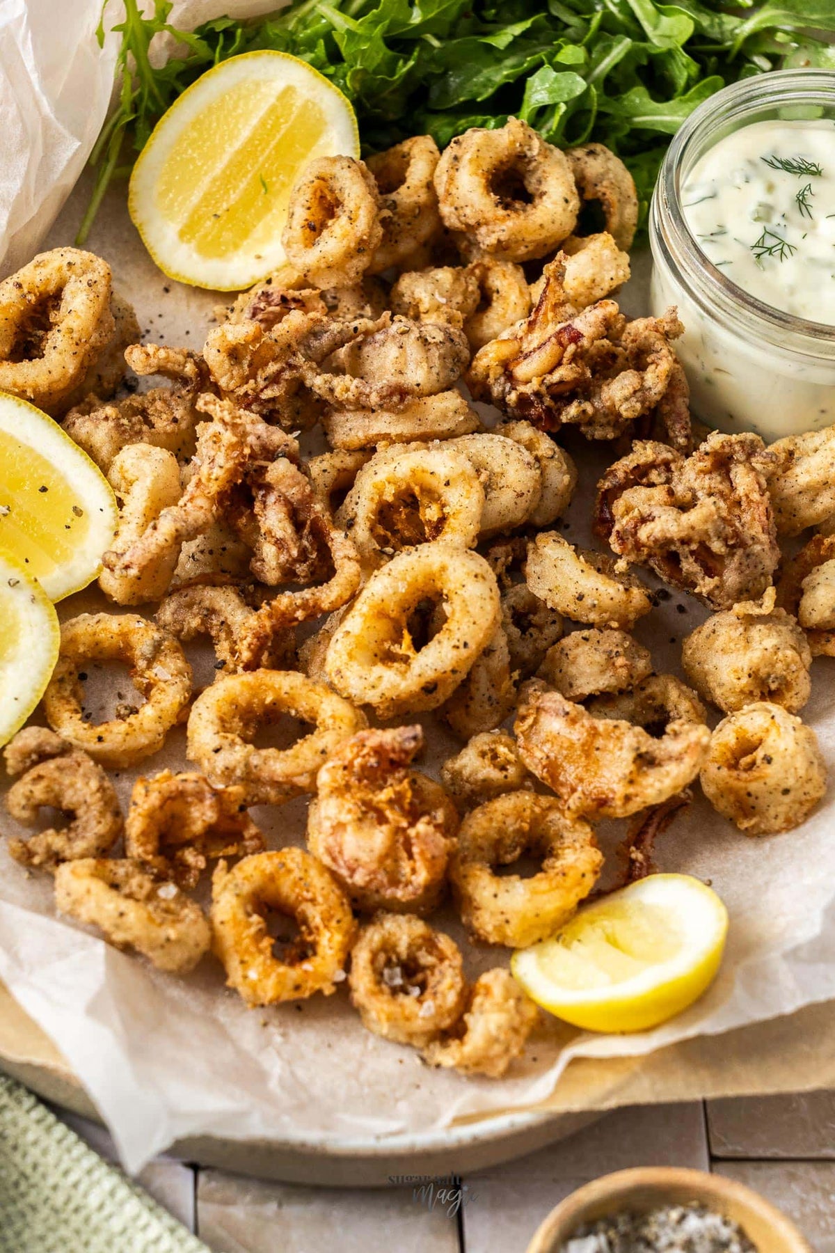 Octopus & Squid