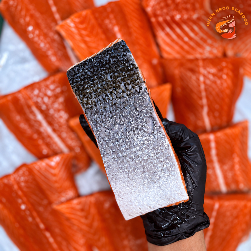 Fresh Salmon Fillets