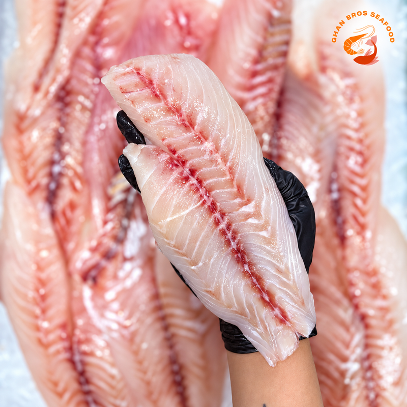 Fresh Snapper Fillets