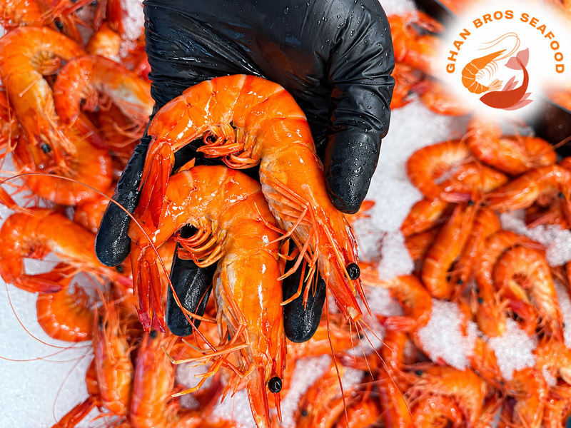 Cooked Tiger Prawn XL