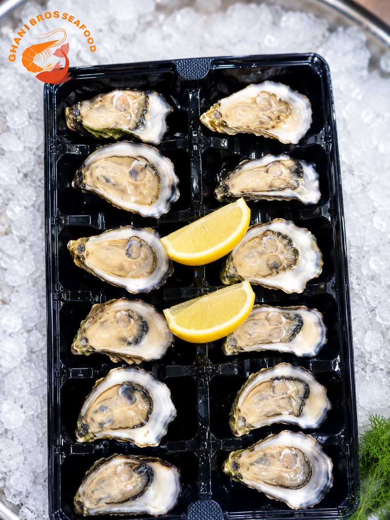 Sydney Rock Oysters Bistro Size