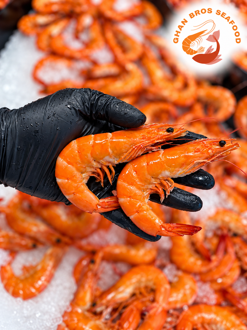 Cooked King Prawn XL