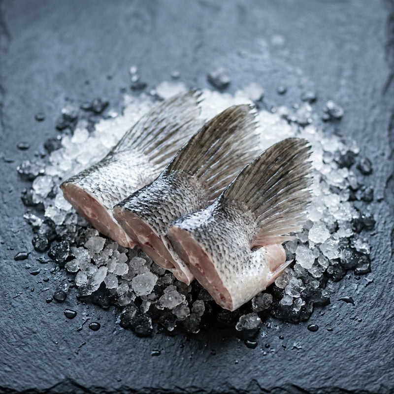 Barramundi Fish Wings on crushed ice at Ghan Bros Seafood, Fyshwick