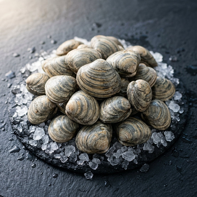Diamond Shell Clams on crushed ice at Ghan Bros Seafood, Fyshwick