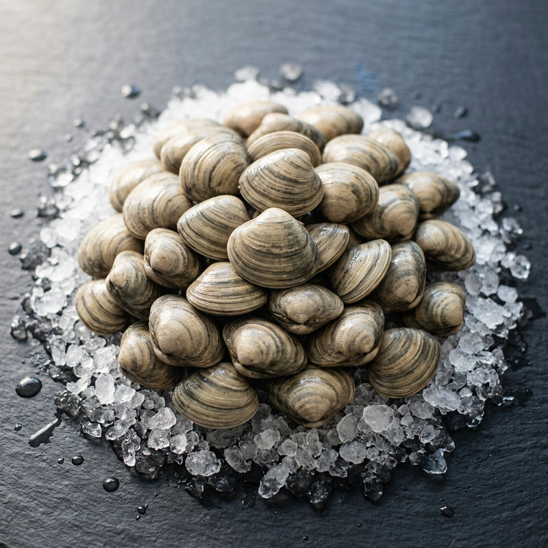 Little Neck Clams on crushed ice at Ghan Bros Seafood, Fyshwick