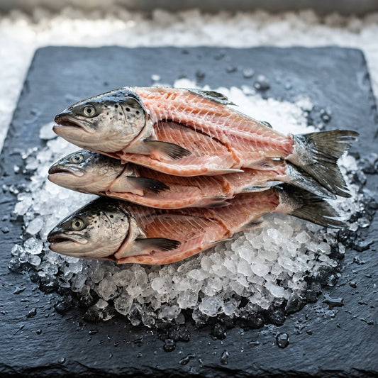 Salmon Frames on crushed ice at Ghan Bros Seafood, Fyshwick