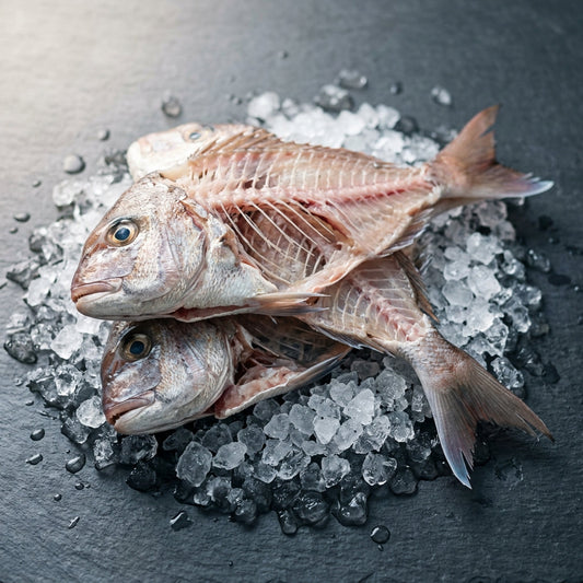 Snapper Frames on crushed ice at Ghan Bros Seafood, Fyshwick