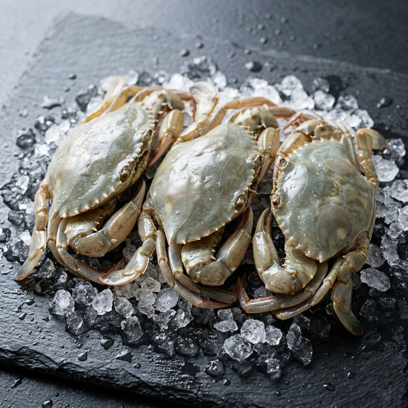 Soft Shell Crabs on crushed ice at Ghan Bros Seafood, Fyshwick