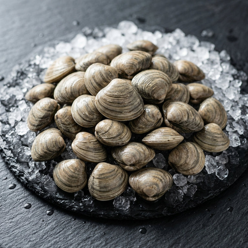 Vongole on crushed ice at Ghan Bros Seafood, Fyshwick